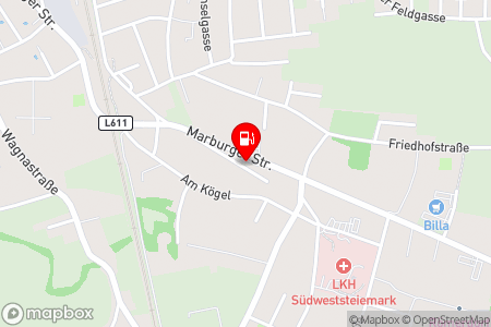 Strassenkarte mit der Position der Tankstelle, M3 Wagna in 8435 Wagna