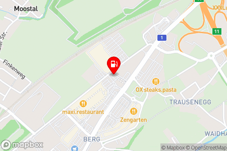 Strassenkarte mit der Position der Tankstelle, ECODROM & CAR WASH CLUB in 4600 Wels