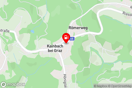 Strassenkarte mit der Position der Tankstelle, F. LEITNER in 8010 Kainbach bei Graz