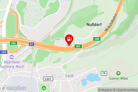 Strassenkarte mit der Position der Tankstelle, OMV - Bergheim Berg-Sam 22a in 5101 Bergheim