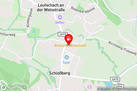 Strassenkarte mit der Position der Tankstelle, Shell Skotschnigg in 8463 Leutschach